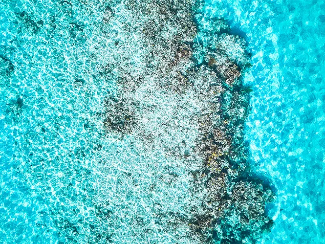 Crystal-clear waters on the Potlatch beach at The Potlatch Club Eleuthera