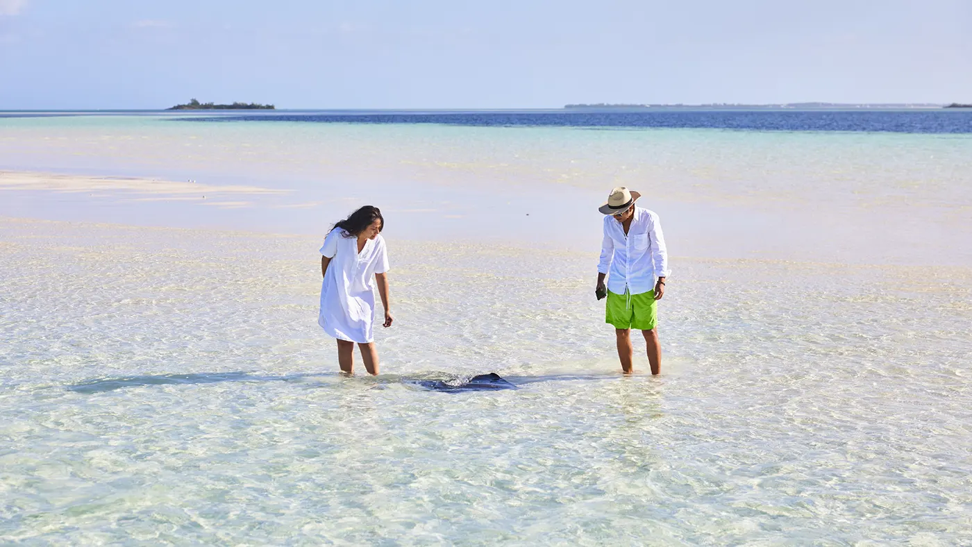 Finding stingrays on a sand bar, Eleuthera, Bahamas