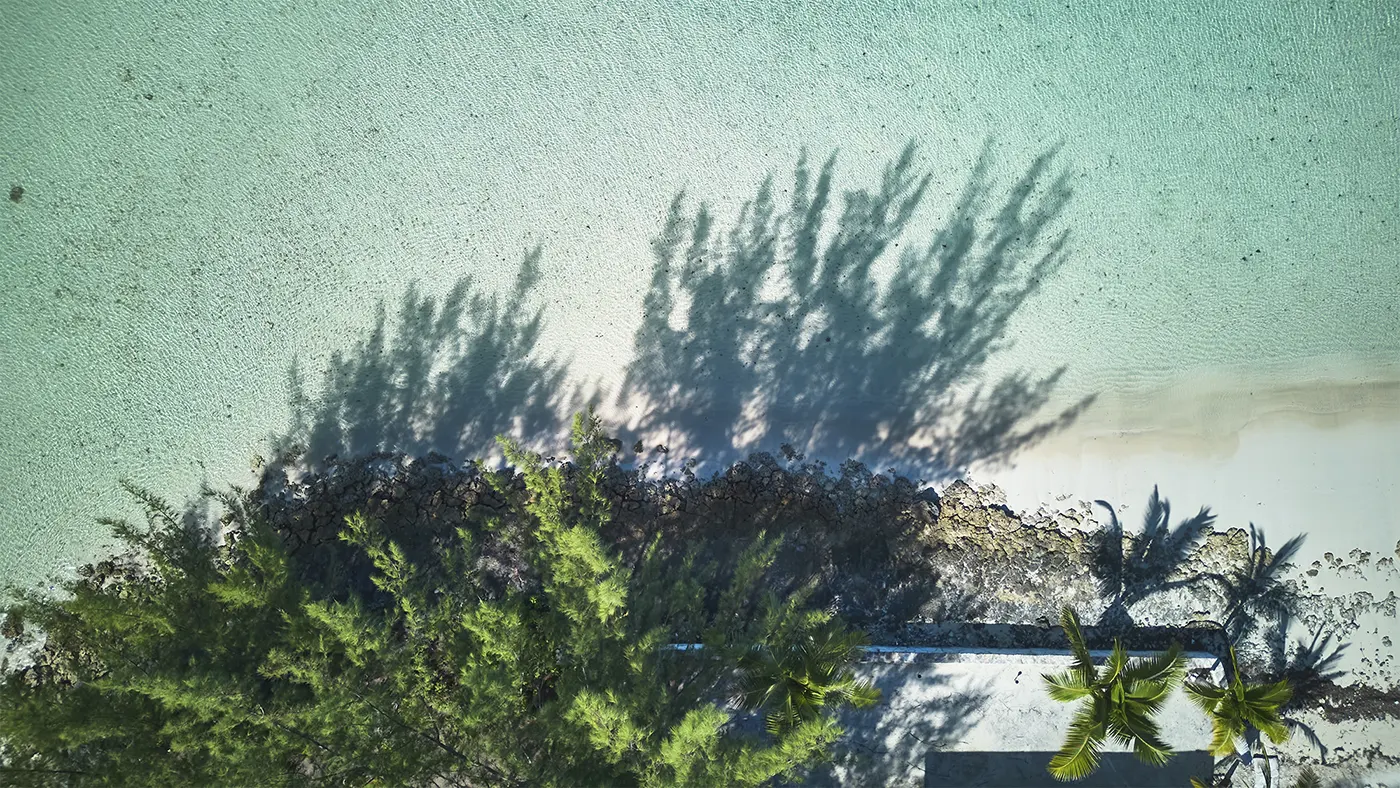 Beach scene, Eleuthera, Bahamas