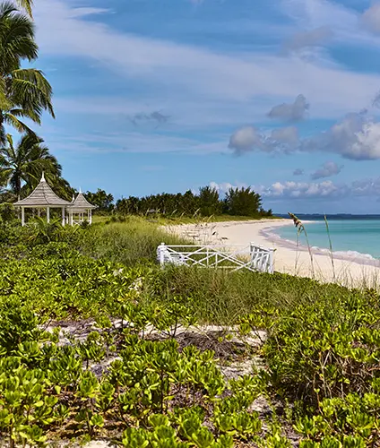 Sea grapes down to the sea at The Potlatch Club, Eleuthera